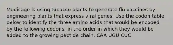 Medicago is using tobacco plants to generate flu vaccines by engineering plants that express viral genes. Use the codon table below to identify the three amino acids that would be encoded by the following codons, in the order in which they would be added to the growing peptide chain. CAA UGU CUC