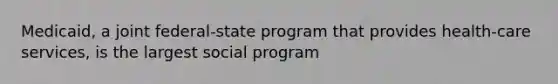 Medicaid, a joint federal-state program that provides health-care services, is the largest social program