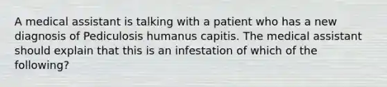 A medical assistant is talking with a patient who has a new diagnosis of Pediculosis humanus capitis. The medical assistant should explain that this is an infestation of which of the following?