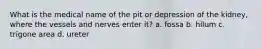 What is the medical name of the pit or depression of the kidney, where the vessels and nerves enter it? a. fossa b. hilum c. trigone area d. ureter