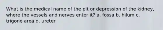 What is the medical name of the pit or depression of the kidney, where the vessels and nerves enter it? a. fossa b. hilum c. trigone area d. ureter