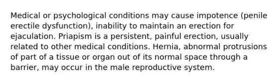 Medical or psychological conditions may cause impotence (penile erectile dysfunction), inability to maintain an erection for ejaculation. Priapism is a persistent, painful erection, usually related to other medical conditions. Hernia, abnormal protrusions of part of a tissue or organ out of its normal space through a barrier, may occur in the male reproductive system.