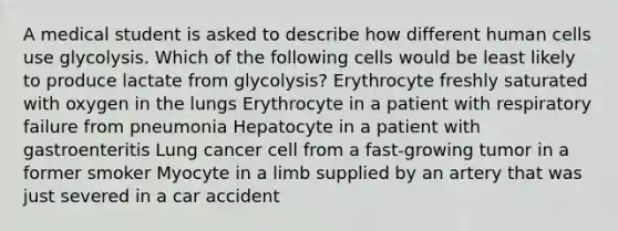 A medical student is asked to describe how different human cells use glycolysis. Which of the following cells would be least likely to produce lactate from glycolysis? Erythrocyte freshly saturated with oxygen in the lungs Erythrocyte in a patient with respiratory failure from pneumonia Hepatocyte in a patient with gastroenteritis Lung cancer cell from a fast-growing tumor in a former smoker Myocyte in a limb supplied by an artery that was just severed in a car accident