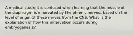 A medical student is confused when learning that the muscle of the diaphragm is innervated by the phrenic nerves, based on the level of origin of these nerves from the CNS. What is the explanation of how this innervation occurs during embryogenesis?