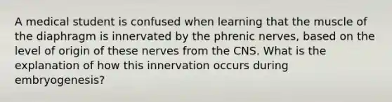 A medical student is confused when learning that the muscle of the diaphragm is innervated by the phrenic nerves, based on the level of origin of these nerves from the CNS. What is the explanation of how this innervation occurs during embryogenesis?