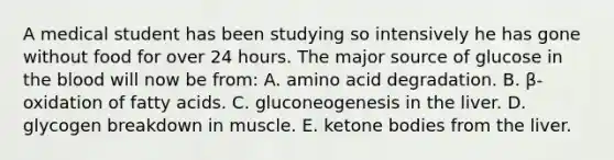 A medical student has been studying so intensively he has gone without food for over 24 hours. The major source of glucose in <a href='https://www.questionai.com/knowledge/k7oXMfj7lk-the-blood' class='anchor-knowledge'>the blood</a> will now be from: A. amino acid degradation. B. β-oxidation of fatty acids. C. gluconeogenesis in the liver. D. glycogen breakdown in muscle. E. ketone bodies from the liver.