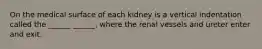 On the medical surface of each kidney is a vertical indentation called the ______ ______, where the renal vessels and ureter enter and exit.