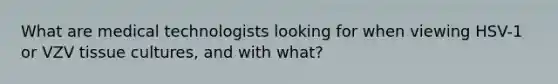 What are medical technologists looking for when viewing HSV-1 or VZV tissue cultures, and with what?