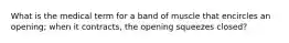 What is the medical term for a band of muscle that encircles an opening; when it contracts, the opening squeezes closed?