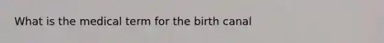 What is the medical term for the birth canal