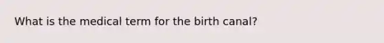 What is the medical term for the birth canal?