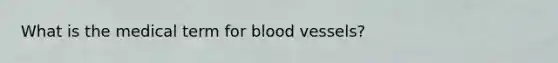 What is the medical term for blood vessels?