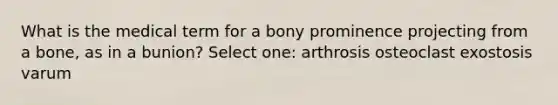 What is the medical term for a bony prominence projecting from a bone, as in a bunion? Select one: arthrosis osteoclast exostosis varum