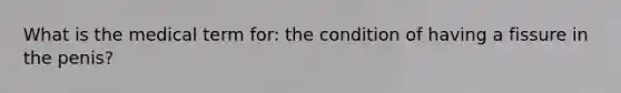 What is the medical term for: the condition of having a fissure in the penis?