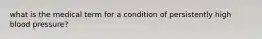 what is the medical term for a condition of persistently high blood pressure?