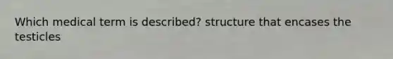 Which medical term is described? structure that encases the testicles