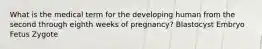 What is the medical term for the developing human from the second through eighth weeks of pregnancy? Blastocyst Embryo Fetus Zygote