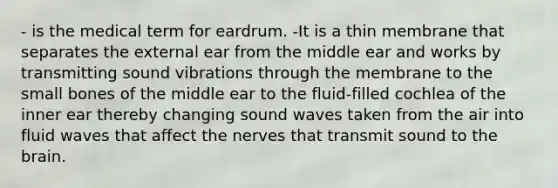 - is the medical term for eardrum. -It is a thin membrane that separates the external ear from the middle ear and works by transmitting sound vibrations through the membrane to the small bones of the middle ear to the fluid-filled cochlea of the inner ear thereby changing sound waves taken from the air into fluid waves that affect the nerves that transmit sound to the brain.