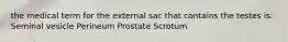 the medical term for the external sac that contains the testes is: Seminal vesicle Perineum Prostate Scrotum