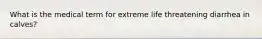 What is the medical term for extreme life threatening diarrhea in calves?