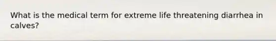 What is the medical term for extreme life threatening diarrhea in calves?