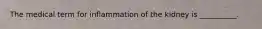 The medical term for inflammation of the kidney is __________.