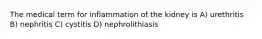 The medical term for inflammation of the kidney is A) urethritis B) nephritis C) cystitis D) nephrolithiasis