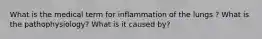 What is the medical term for inflammation of the lungs ? What is the pathophysiology? What is it caused by?