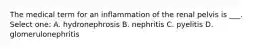 The medical term for an inflammation of the renal pelvis is ___. Select one: A. hydronephrosis B. nephritis C. pyelitis D. glomerulonephritis