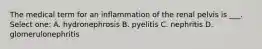 The medical term for an inflammation of the renal pelvis is ___. Select one: A. hydronephrosis B. pyelitis C. nephritis D. glomerulonephritis