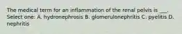 The medical term for an inflammation of the renal pelvis is ___. Select one: A. hydronephrosis B. glomerulonephritis C. pyelitis D. nephritis