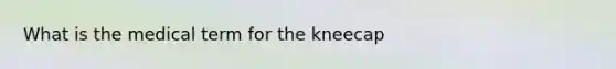 What is the medical term for the kneecap