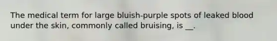 The medical term for large bluish-purple spots of leaked blood under the skin, commonly called bruising, is __.