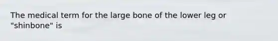 The medical term for the large bone of the lower leg or "shinbone" is