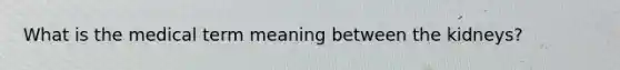 What is the medical term meaning between the kidneys?