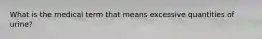 What is the medical term that means excessive quantities of urine?