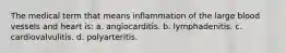 The medical term that means inflammation of the large blood vessels and heart is: a. angiocarditis. b. lymphadenitis. c. cardiovalvulitis. d. polyarteritis.