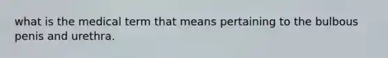 what is the medical term that means pertaining to the bulbous penis and urethra.