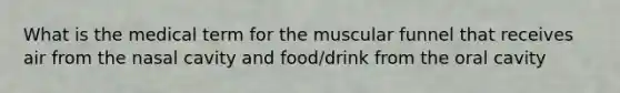 What is the medical term for the muscular funnel that receives air from the nasal cavity and food/drink from the oral cavity