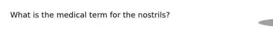 What is the medical term for the nostrils?