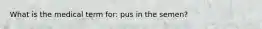 What is the medical term for: pus in the semen?