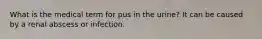 What is the medical term for pus in the urine? It can be caused by a renal abscess or infection.