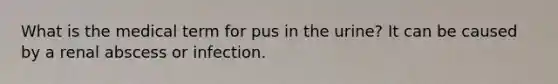 What is the medical term for pus in the urine? It can be caused by a renal abscess or infection.