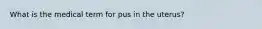 What is the medical term for pus in the uterus?