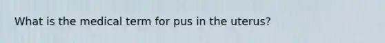 What is the medical term for pus in the uterus?