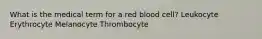 What is the medical term for a red blood cell? Leukocyte Erythrocyte Melanocyte Thrombocyte