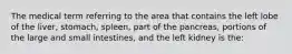 The medical term referring to the area that contains the left lobe of the liver, stomach, spleen, part of the pancreas, portions of the large and small intestines, and the left kidney is the: