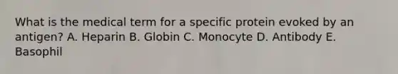 What is the medical term for a specific protein evoked by an antigen? A. Heparin B. Globin C. Monocyte D. Antibody E. Basophil