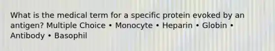 What is the medical term for a specific protein evoked by an antigen? Multiple Choice • Monocyte • Heparin • Globin • Antibody • Basophil