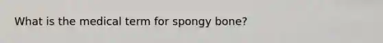 What is the medical term for spongy bone?